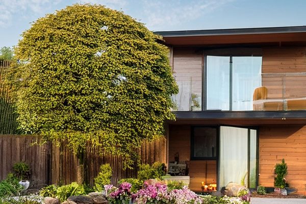 home_and_garden